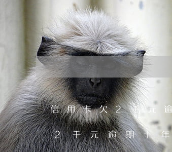 信用卡欠2千元逾期十年怎么办-信用卡欠2千元逾期十年怎么办理