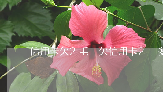信用卡欠2毛錢(欠信用卡2萬多嗎)