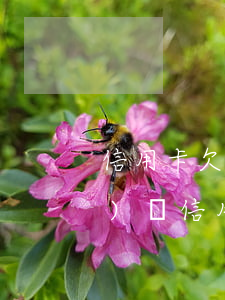 信用卡欠2萬(wàn)2年了沒(méi)還(信用卡欠2萬(wàn)2年了沒(méi)還)