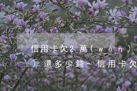 信用卡欠2萬(wàn)2年了沒(méi)還多少錢-信用卡欠2萬(wàn)2年了沒(méi)還多少錢怎么辦