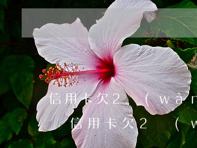 信用卡欠2萬(wàn)多嚴(yán)重嗎(信用卡欠2萬(wàn)多嚴(yán)重嗎知乎)