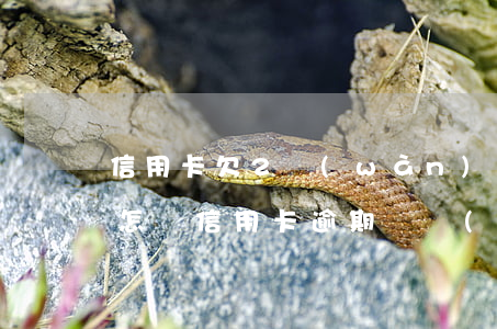 信用卡欠2萬(wàn)逾期會(huì)怎樣(信用卡逾期兩萬(wàn)嚴(yán)重嗎)