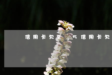 信用卡欠2萬5(信用卡欠2萬怎么自救)