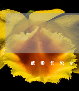 信用卡欠2萬5年沒還（信用卡欠2萬5年沒還）