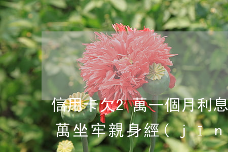 信用卡欠2萬一個月利息多少-欠信用卡6萬坐牢親身經(jīng)歷