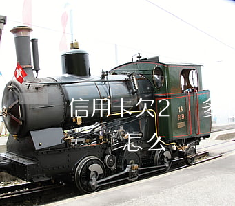 信用卡欠2萬多怎么辦(欠了信用卡2萬無力償還怎么辦)