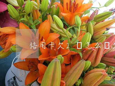 信用卡欠2萬 怎么還(欠兩萬信用卡怎么還)