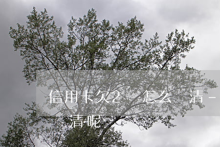 信用卡欠2萬怎么還清-信用卡欠2萬怎么還清呢