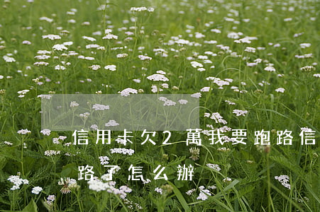 信用卡欠2萬我要跑路(信用卡欠2萬我要跑路了怎么辦)
