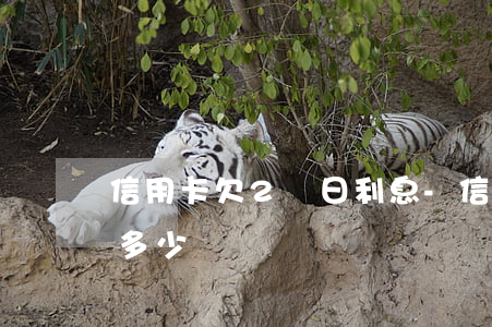 信用卡欠2萬日利息-信用卡欠2萬日利息多少