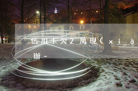 信用卡欠2萬現(xiàn)在還不上怎么辦-