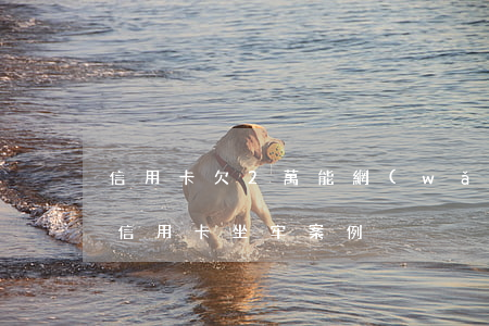 信用卡欠2萬能網(wǎng)逃嗎(欠2萬信用卡坐牢案例)