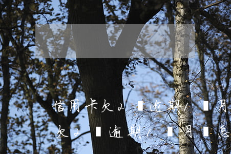 信用卡欠2萬逾期1個月會怎么樣-信用卡欠2萬逾期1個月會怎么樣呢