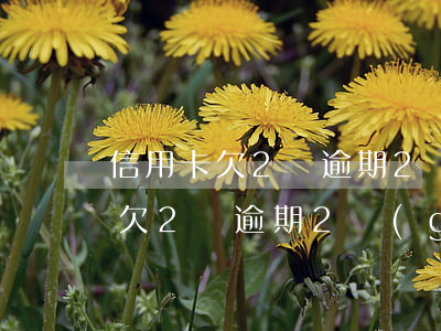 信用卡欠2萬逾期2個(gè)月-信用卡欠2萬逾期2個(gè)月利息多少