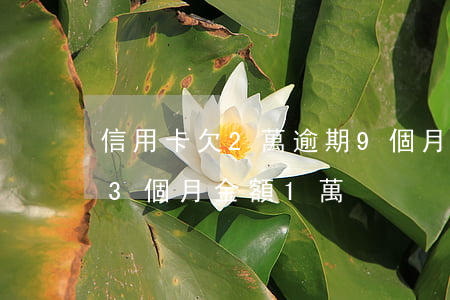 信用卡欠2萬逾期9個月(欠銀行信用卡逾期3個月 金額1萬)