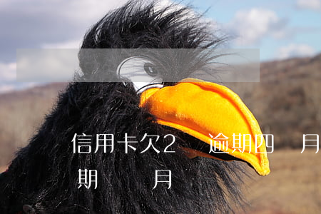信用卡欠2萬逾期四個月(信用卡欠款兩萬逾期兩個月)