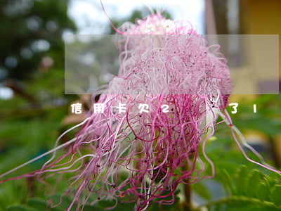 信用卡欠2萬還了1萬8