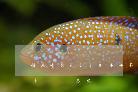 信用卡欠3000半年不還(欠信用卡三千兩年沒還會怎么樣)