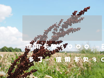 信用卡欠3000塊已經(jīng)6年多了-信用卡欠3000塊已經(jīng)6年多了怎么辦