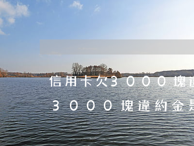 信用卡欠3000塊違約金是啥-信用卡欠3000塊違約金是啥意思