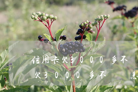 信用卡欠3000多不還會怎么樣-信用卡欠3000多不還會怎么樣嗎