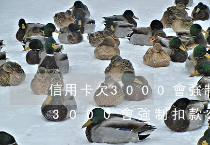 信用卡欠3000會強制扣款么-信用卡欠3000會強制扣款么嗎