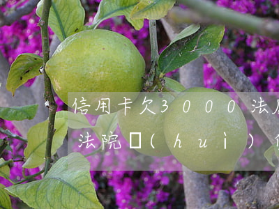 信用卡欠3000法庭(欠信用卡3000元法院會(huì)受理嗎)