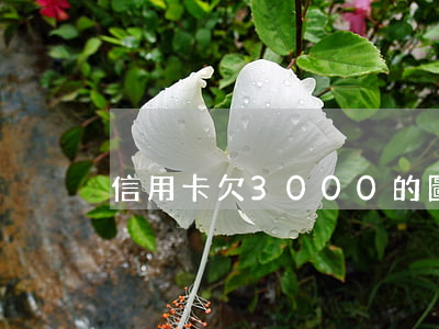 信用卡欠3000的圖片