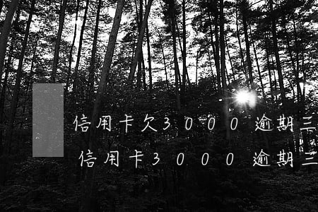 信用卡欠3000逾期三個(gè)月-欠信用卡3000逾期三年