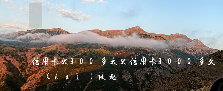 信用卡欠300多天(欠信用卡3000多久會(huì)被起訴)