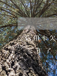 信用卡欠30万两年了(信用卡欠20万逾期三年了)