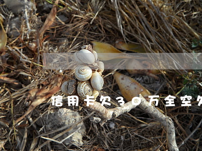 信用卡欠30万全空(欠信用卡30万怎么办)