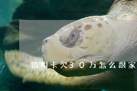 信用卡欠30万怎么跟家里人说-