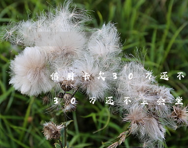 信用卡欠30万还不上会坐牢吗-信用卡欠30万还不上会坐牢吗知乎