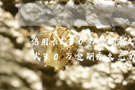信用卡欠30万逾期永久无力偿还-信用卡欠30万逾期永久无力偿还怎么办