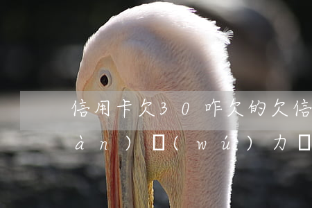 信用卡欠30咋欠的(欠信用卡30多萬(wàn)無(wú)力償還怎么辦)