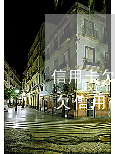 信用卡欠30多個網(wǎng)貸怎么辦(欠信用卡網(wǎng)貸30萬)