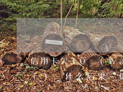 信用卡欠30萬(wàn)2年了沒(méi)還什么后果-信用卡欠30萬(wàn)2年了沒(méi)還什么后果呢