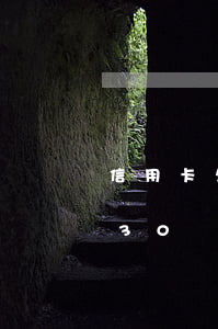 信用卡欠30萬(wàn)后果-信用卡欠30萬(wàn)后果