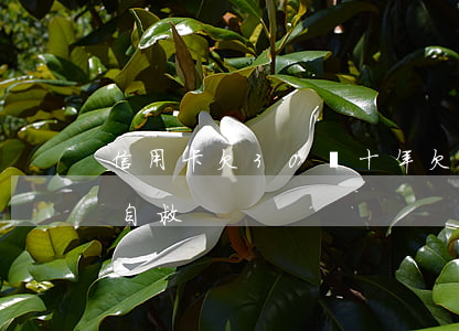 信用卡欠30萬十年(欠信用卡30萬該如何自救)