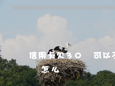信用卡欠30萬可以不還嗎(欠了信用卡30萬怎么辦)