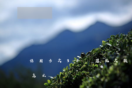 信用卡欠30萬想死(欠款信用卡30萬我該怎么辦)