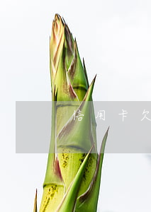 信用卡欠30萬未還（信用卡欠30萬未還）
