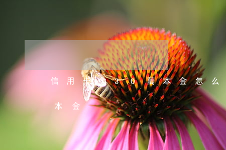 信用卡欠30萬本金怎么算（信用卡欠30萬本金）