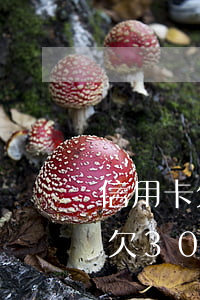 信用卡欠30萬無力償還會判刑嗎-信用卡欠30萬無力償還會判刑嗎知乎