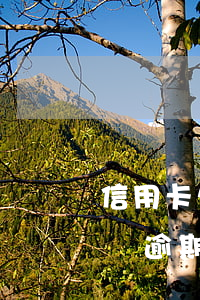 信用卡欠30萬逾期利息-欠信用卡三十幾萬逾期了怎么辦