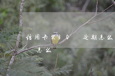 信用卡欠30萬逾期怎么辦(欠了信用卡30萬怎么辦)