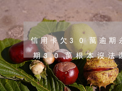 信用卡欠30萬逾期永久無力償還(信用卡逾期30萬根本沒法還)