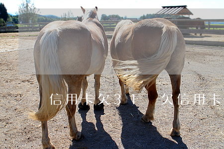 信用卡欠31萬(欠信用卡32萬)