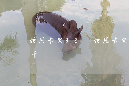 信用卡欠32萬(信用卡欠32萬每個月還5千)
